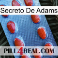 Adams Secret 06